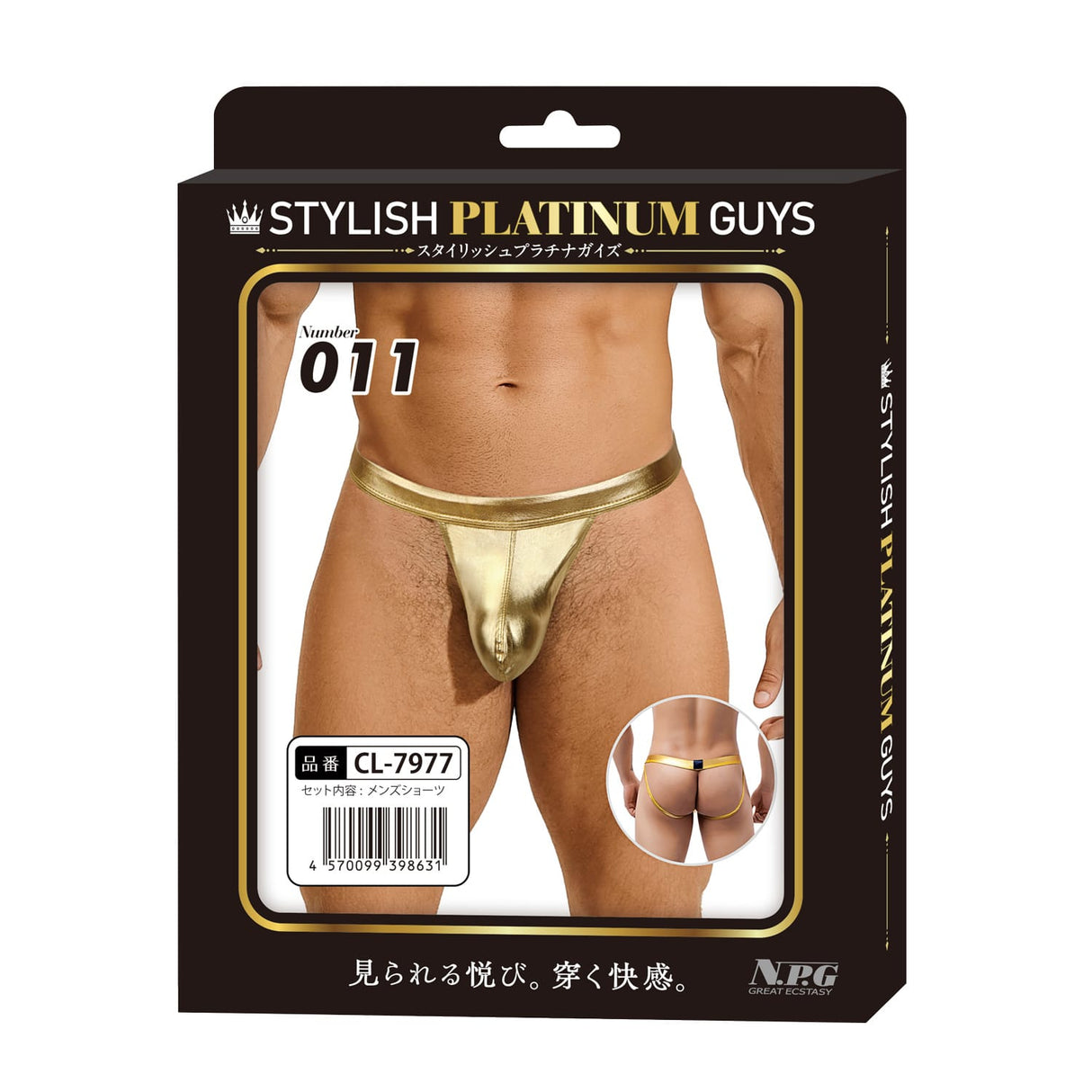 Stylish Platinum Guys - Men's Sheer Underwear Collection