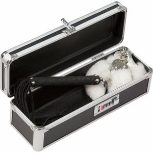 BMS - PowerBullet Lockable Sex Toy Storage Box Case - CherryAffairs.sg