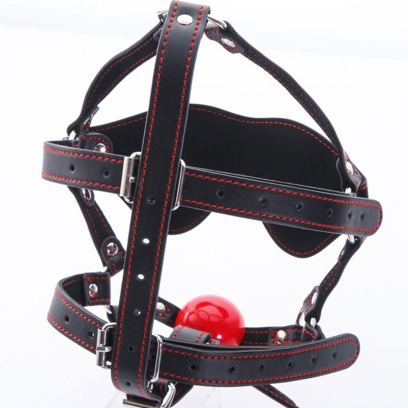 NPG - Benitsubaki Ball Gag with Blindfold Set (Black) NPG1219 CherryAffairs