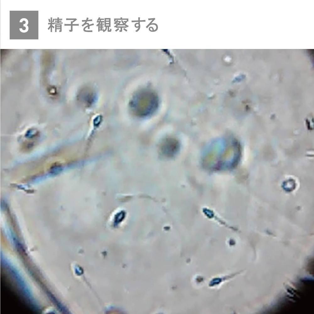 Tenga - Men's Loupe (Green) TE1098 CherryAffairs