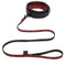 Leashes & Collars