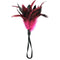 Feather Ticklers