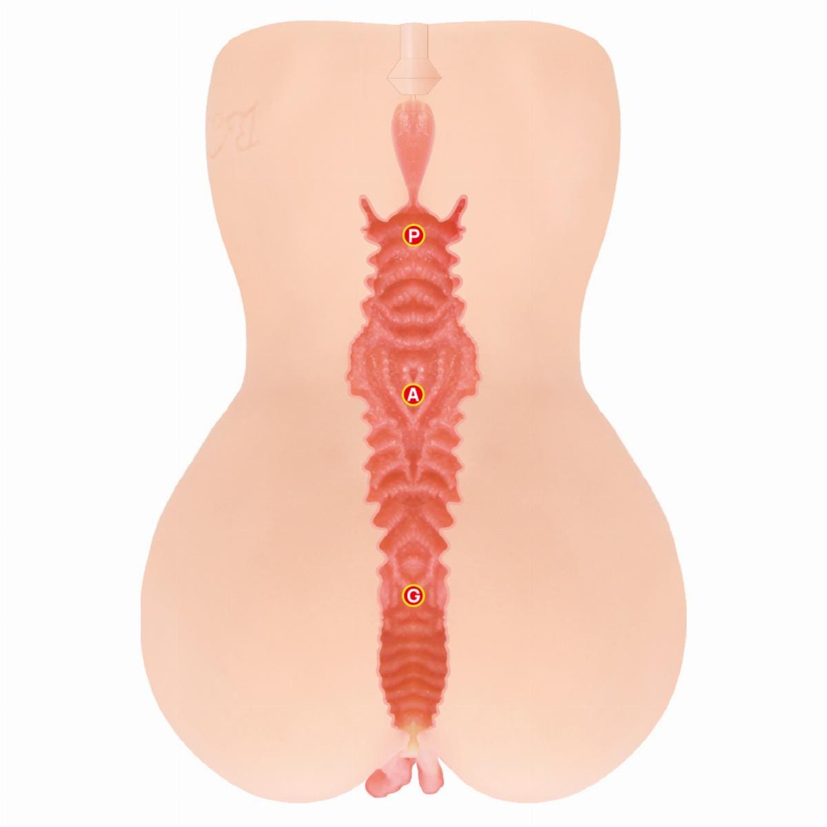 Kokos - Onahole Edition 001 Double Layer By Adel Masturbator (Beige) KK1066 CherryAffairs