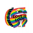 Hott Products - Love Is Love Rainbow Style Caution Party Tape (Rainbow) HTP1016 CherryAffairs