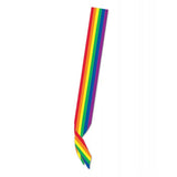 Hott Products - Rainbow Pride Men's Thong Underwear HP1010 CherryAffairs