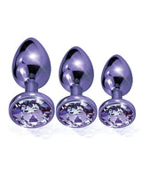 Nixie - Metal Jeweled Anal Plug Training Set (Metallic Purple) OT1317 CherryAffairs