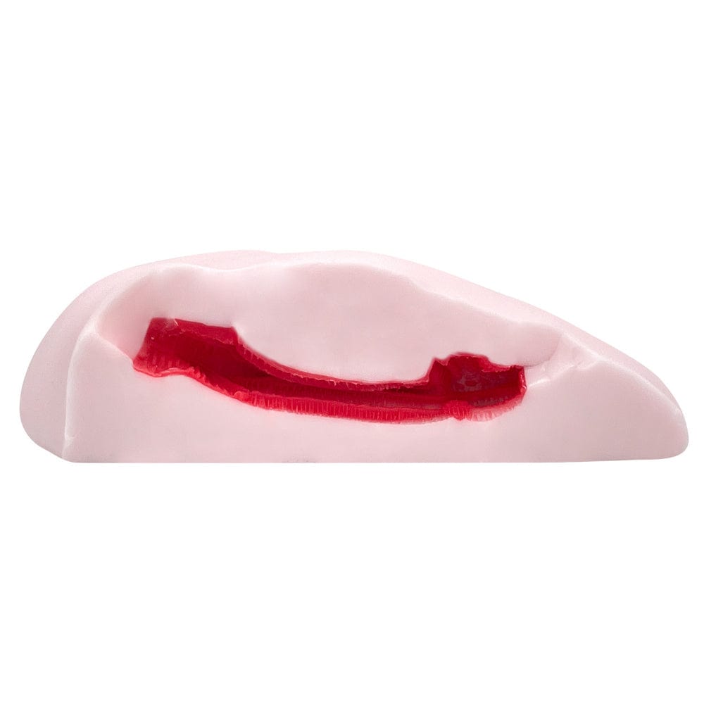 Peach Toys - Floor Ona Shiki Zero Succubus Gal Onahole CherryAffairs