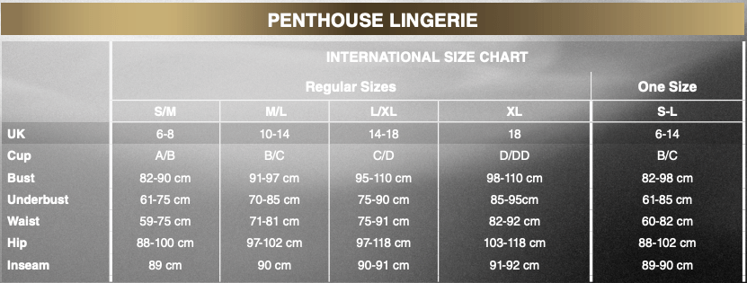 Penthouse - Hot Nightfall Geometric Net Bodystocking Costume CherryAffairs
