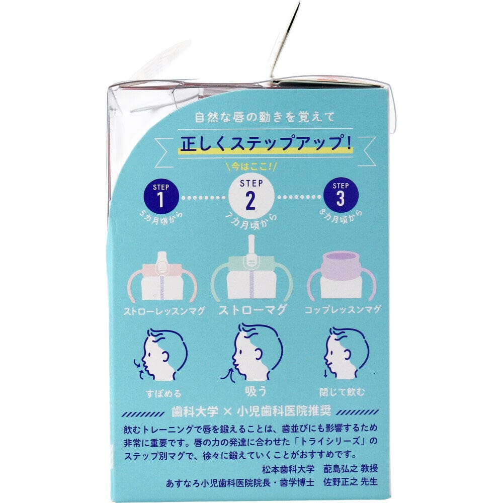 Richell - T.L.I Baby Stage 2 Try Straw Clear Training Water Bottle Mug    Baby Water Bottle