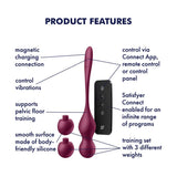 Satisfyer - Love Birds Vary App-Controlled Pelvic Training Kegel Balls (Berry) STF1306 CherryAffairs