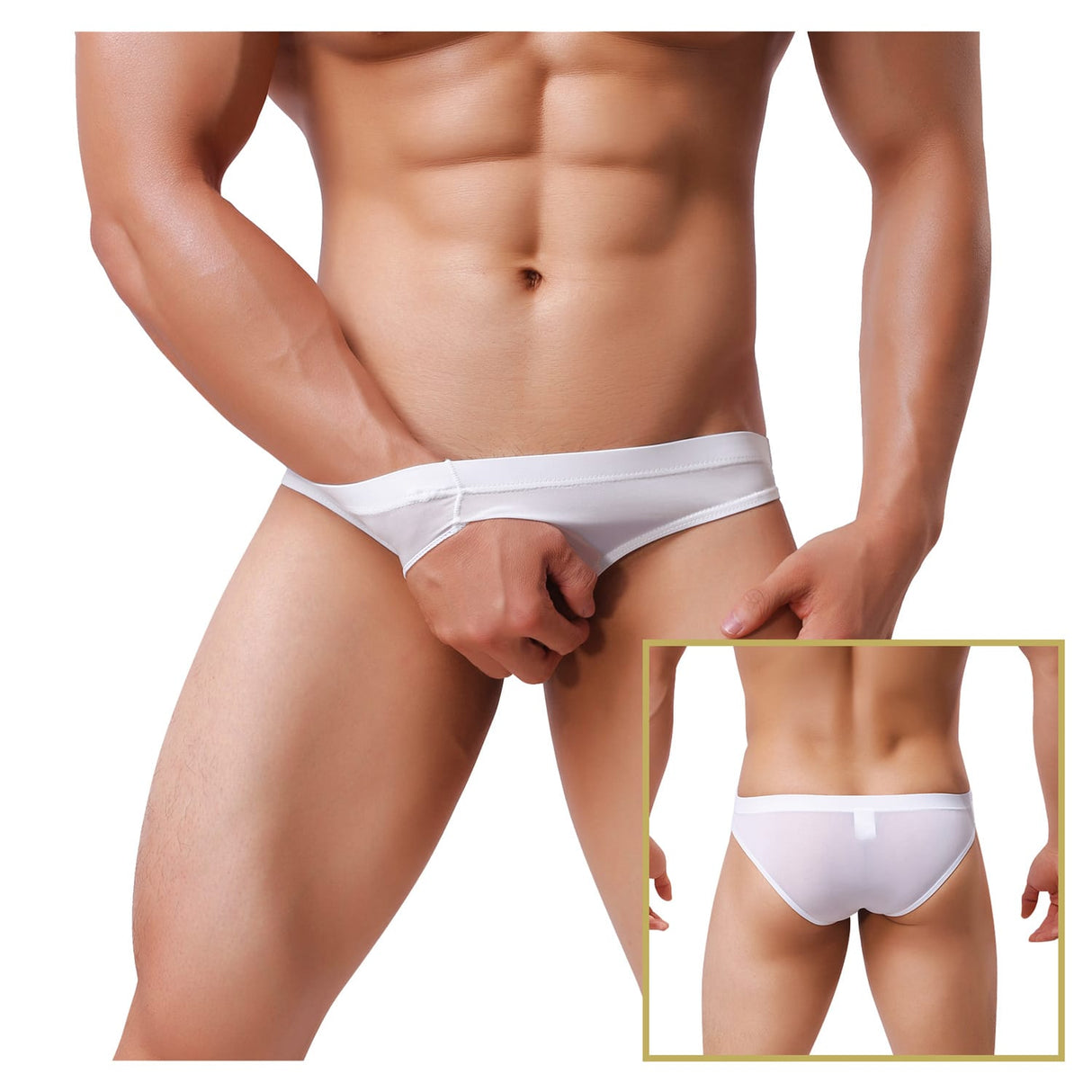 Stylish Platinum Guys - Men's Sheer Underwear Collection CherryAffairs
