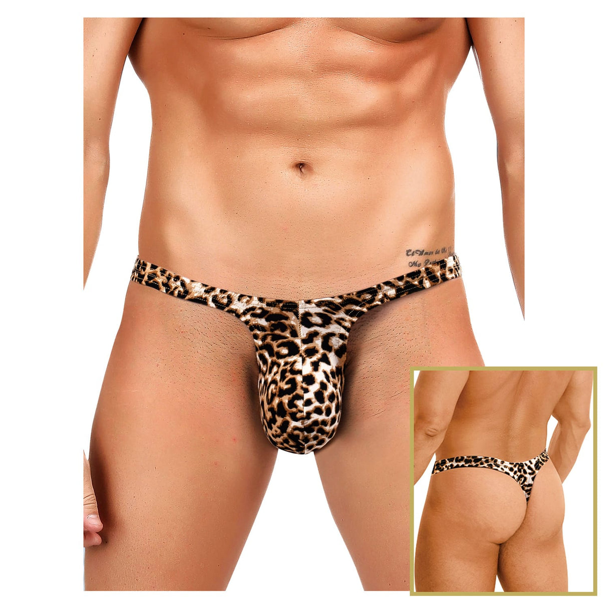 Stylish Platinum Guys - Men's Sheer Underwear Collection CherryAffairs