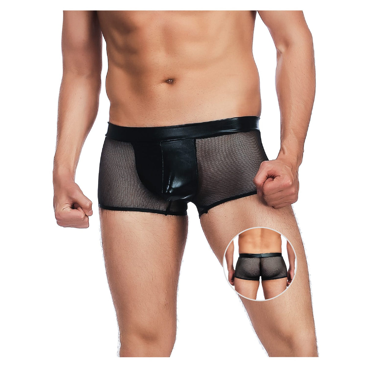 Stylish Platinum Guys - Men's Sheer Underwear Collection CherryAffairs
