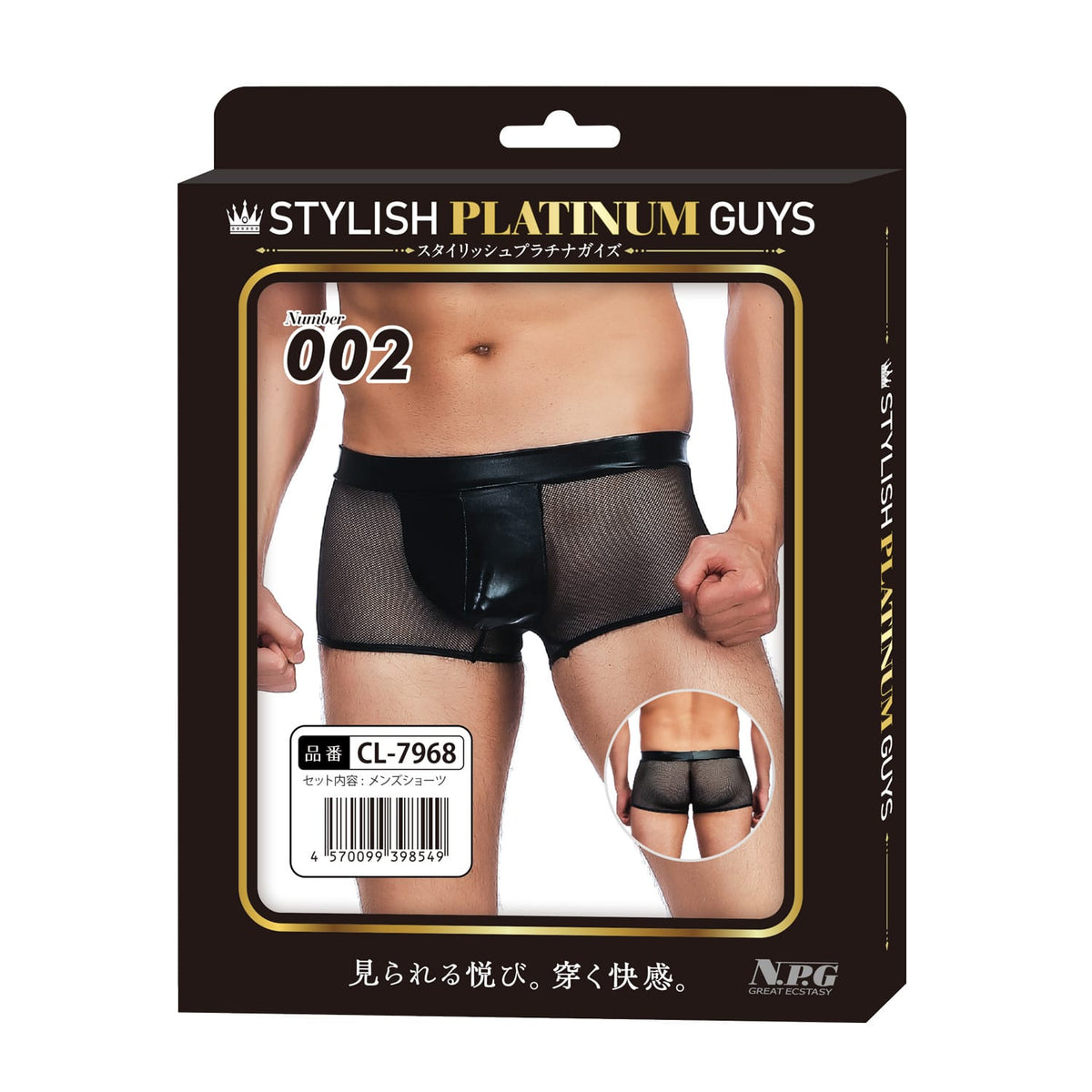 Stylish Platinum Guys - Men's Sheer Underwear Collection CherryAffairs