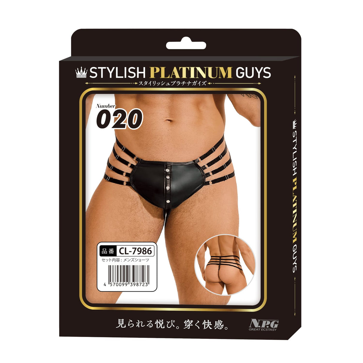 Stylish Platinum Guys - Men's Sheer Underwear Collection CherryAffairs