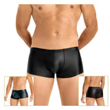 Stylish Platinum Guys - Men's Sheer Underwear Collection CherryAffairs