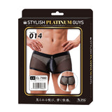 Stylish Platinum Guys - Men's Sheer Underwear Collection CherryAffairs