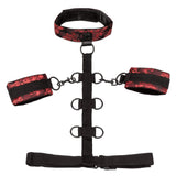 California Exotics - BDSM Scandal Collar Body Restraint (Black) CE1826 CherryAffairs