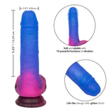 California Exotics - Naughty Bits Ombre Hombre Vibrating Dildo (Purple) CE1837 CherryAffairs