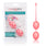 California Exotics - Weighted Kegel Balls CE1570 CherryAffairs