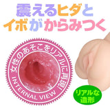 Eve Dolls - Radio Beautiful Girl Puru Puru Pleasure Dengeki Musume Mikawako Yamashita Onahole (Beige) ED1011 CherryAffairs