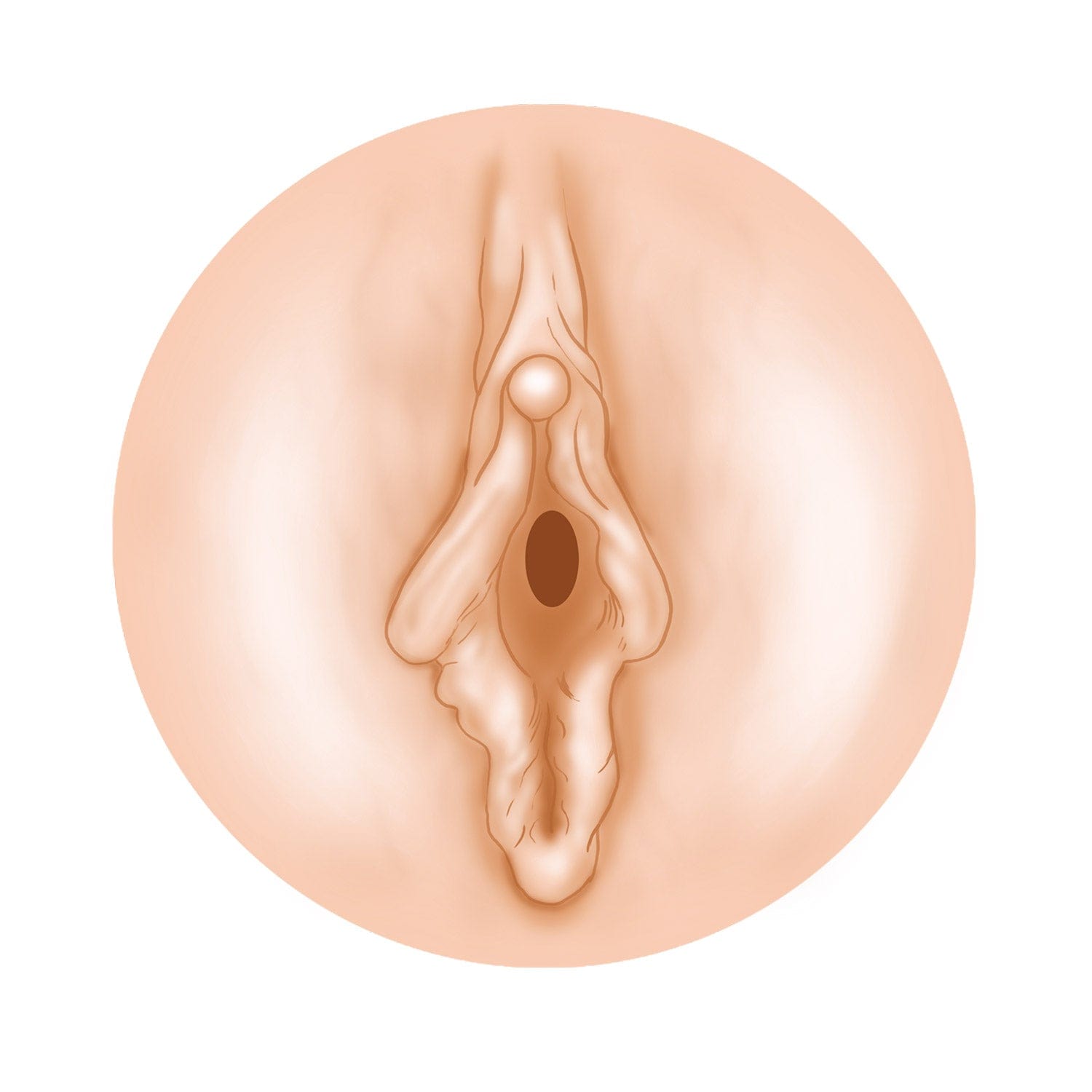 NPG - AV Ona Cup 018 Cup Masturbator Onahole Riho Fujimori (Beige) NPG1223 CherryAffairs