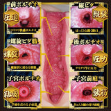 NPG - Shin Meiki 1 Kaho Imai Japanese Onahole (Beige) NPG1168 CherryAffairs