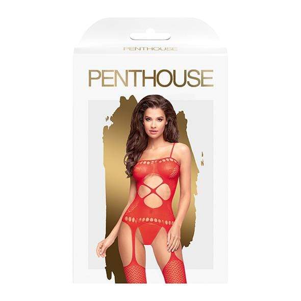 Penthouse - Hot Nightfall Geometric Net Bodystocking Costume XL (Red) PH1085 CherryAffairs