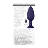 Zero Tolerance - Wicked Twister Remote Control Rechargeable Anal Plug (Purple) ZR1024 CherryAffairs